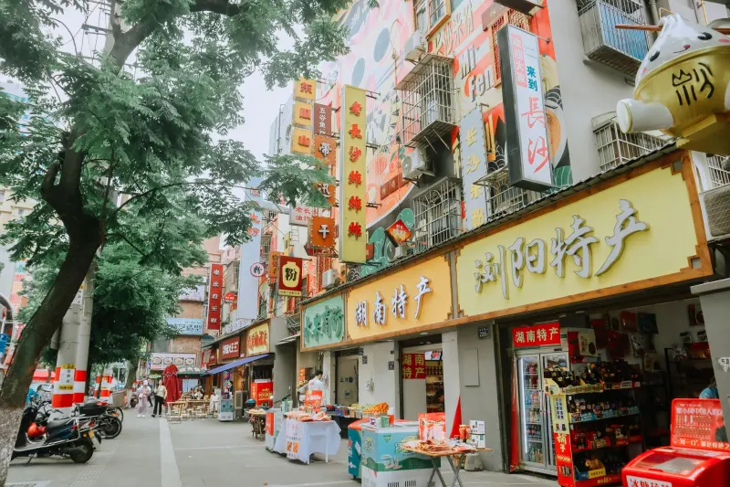 硬盘录像机与网络摄像头兼容性配置技术解析