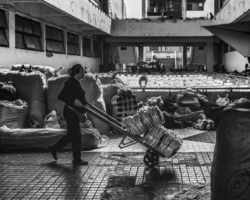 2025年安防监控行业技术标准更新要点解读