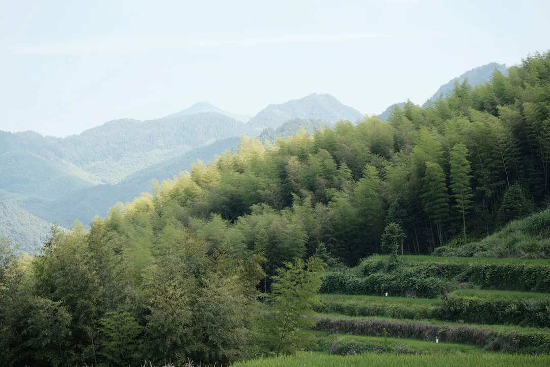 智能安防趋势下重庆企业监控摄像头与硬盘录像机选型要点解析